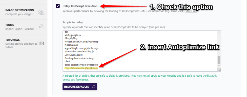 how to delay JavaScript execution in WP Rocket