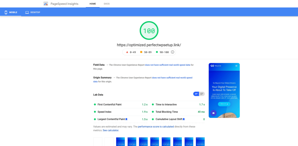 results page of Google's PageSpeed Insights